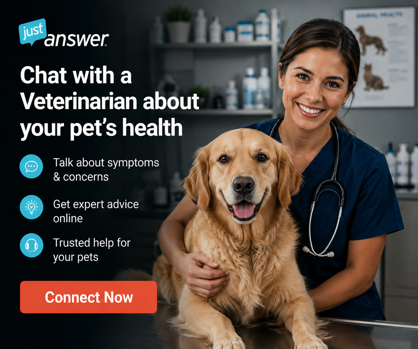 Veterinarians